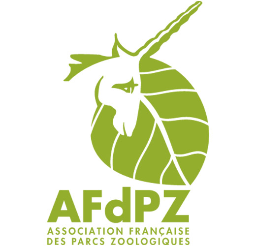 afdpz_ok